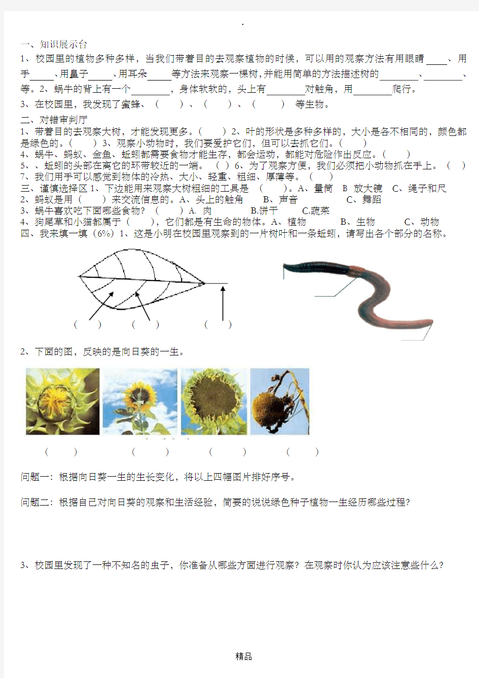 教科版三年级上册科学测试题