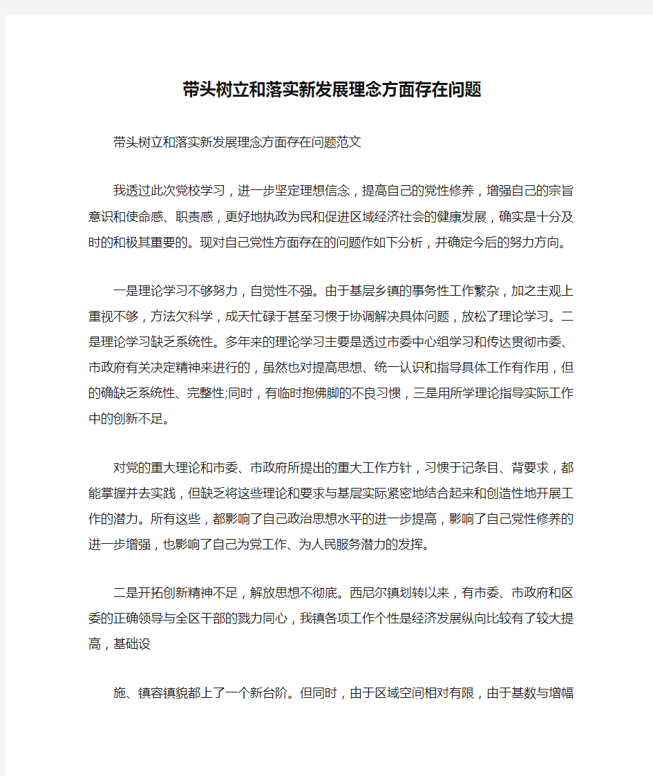 带头树立和落实新发展理念方面存在问题