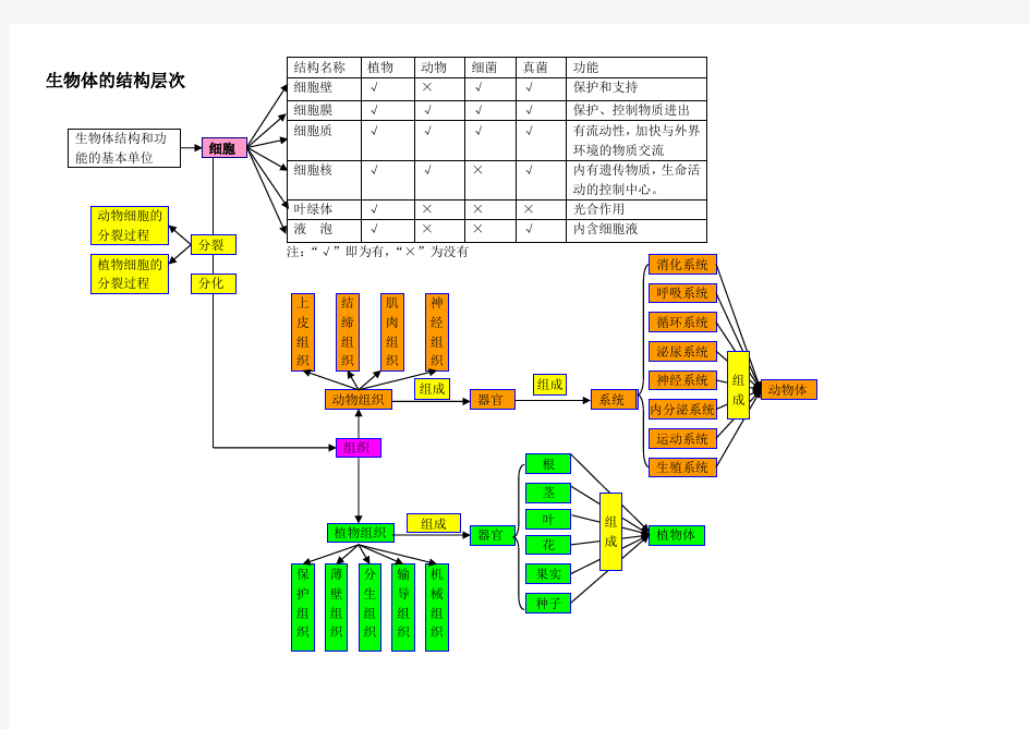 生物体的结构层次、生物分类概念图