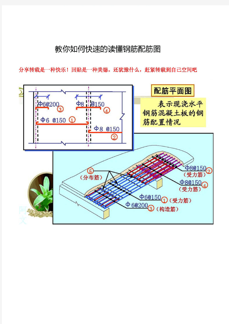 教你如何快速的读懂钢筋配筋图(精华版本)