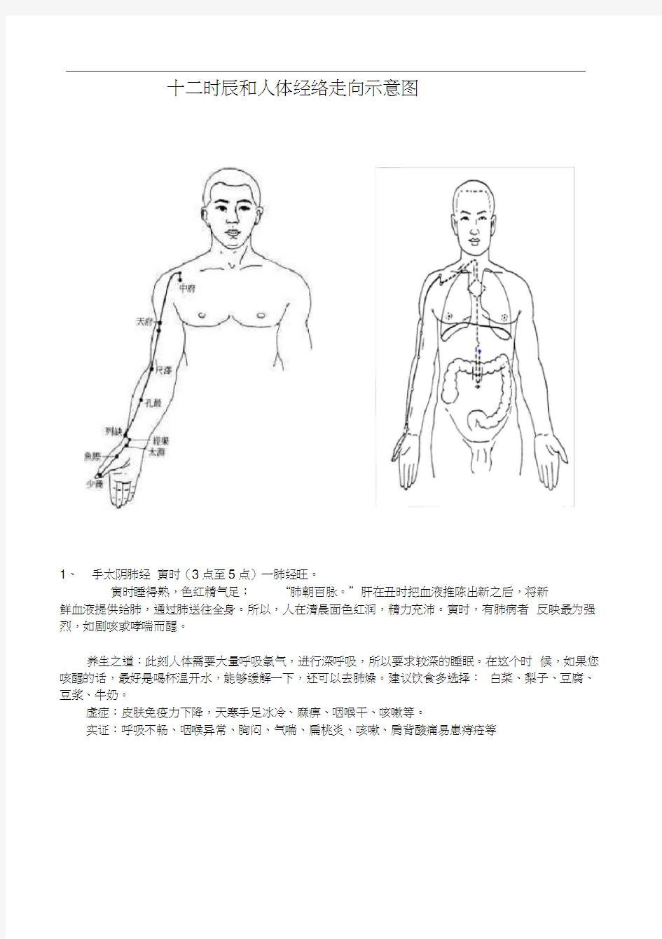 人体经络穴位走向