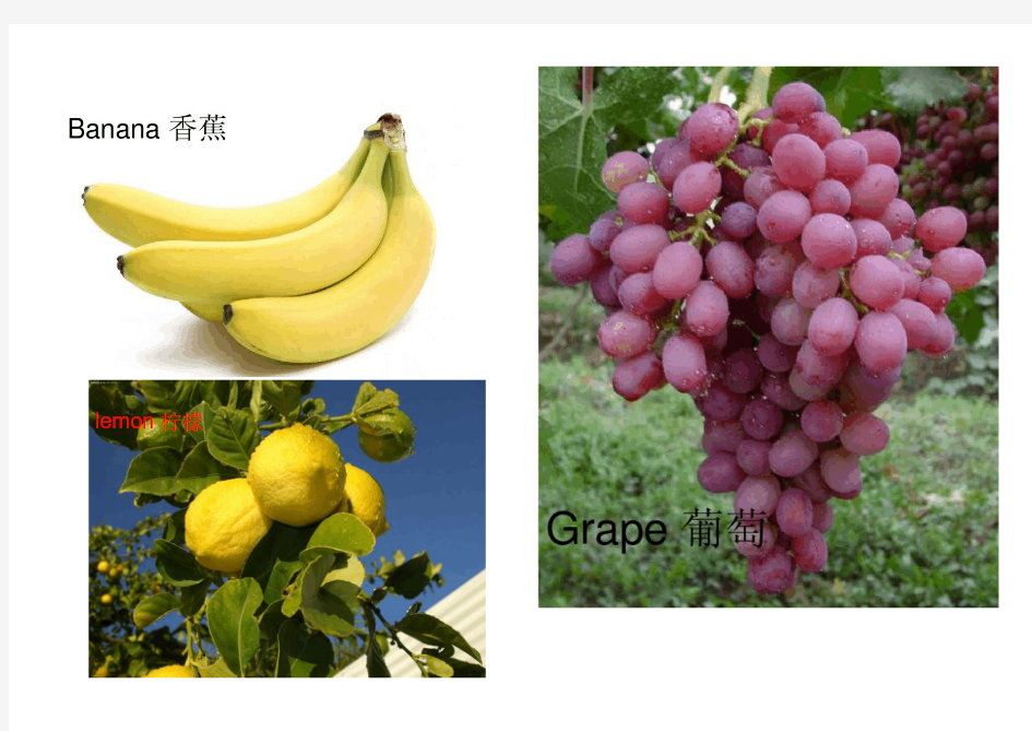 各种水果名称及图片