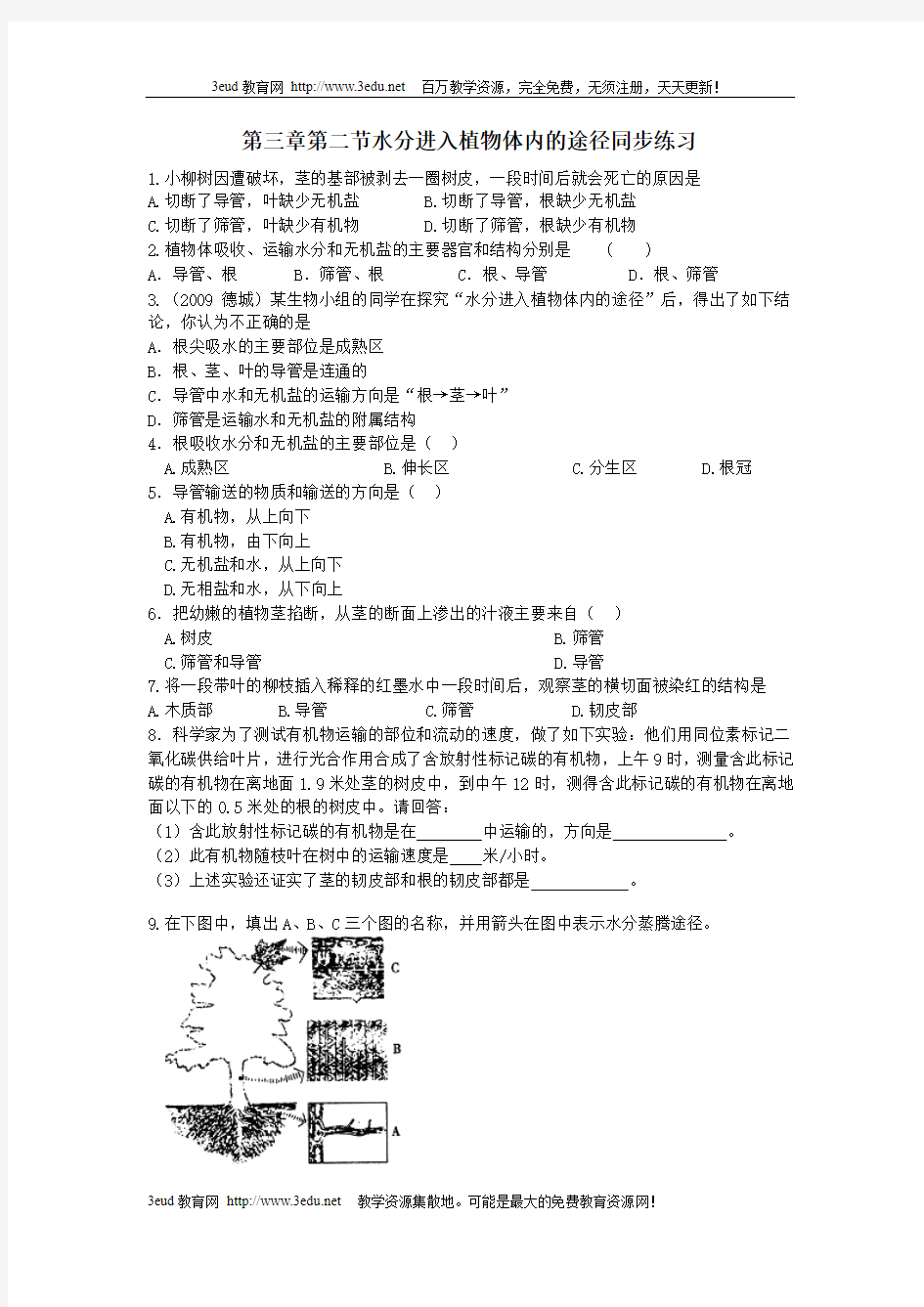 水分进入植物体内的途径同步练习