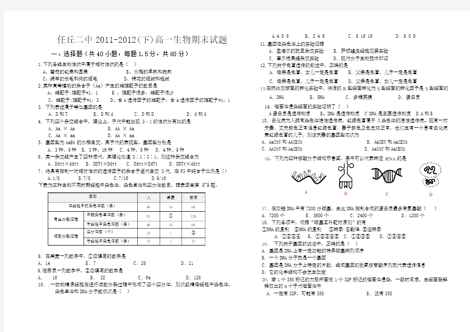 人教版 高中生物必修二期末试题