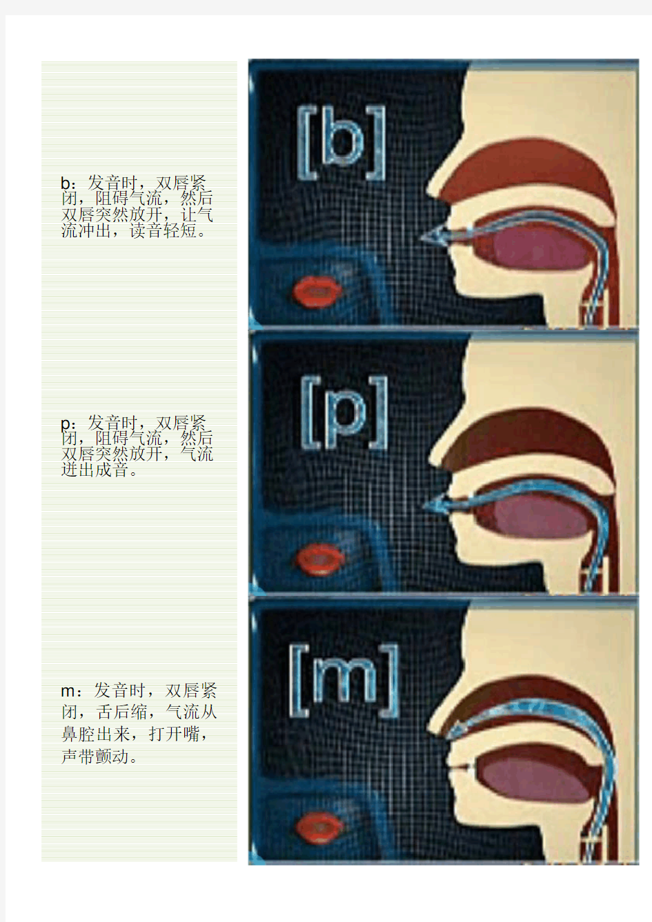 汉语拼音发音口型及配图