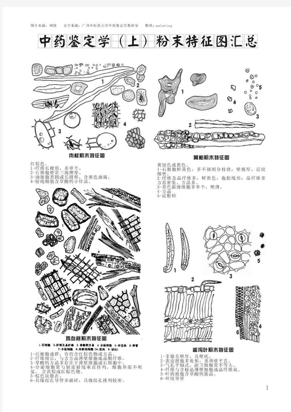 中药鉴定学(上)粉末特征图汇总