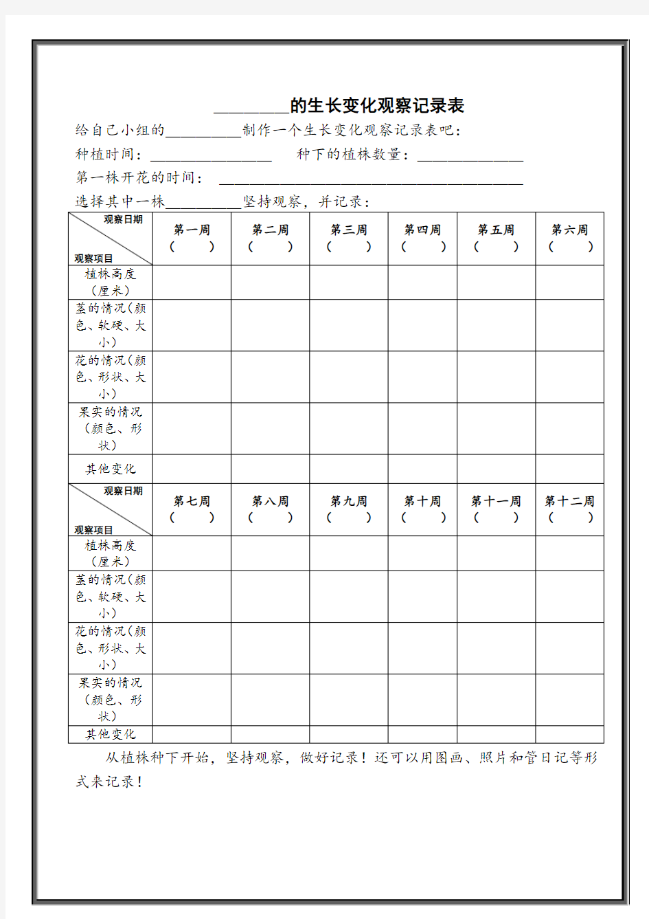 XX的生长变化观察记录表