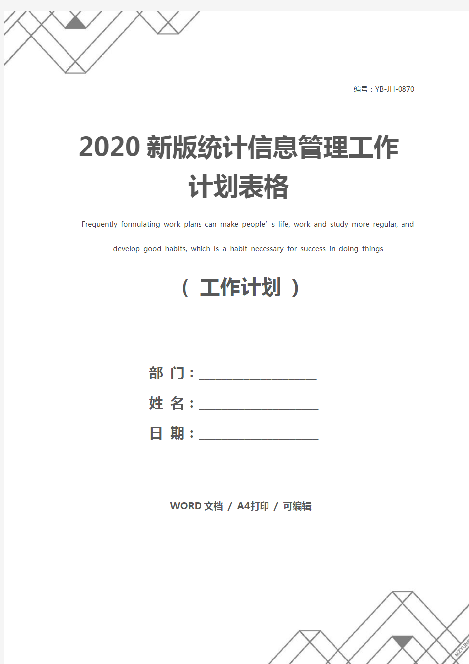 2020新版统计信息管理工作计划表格