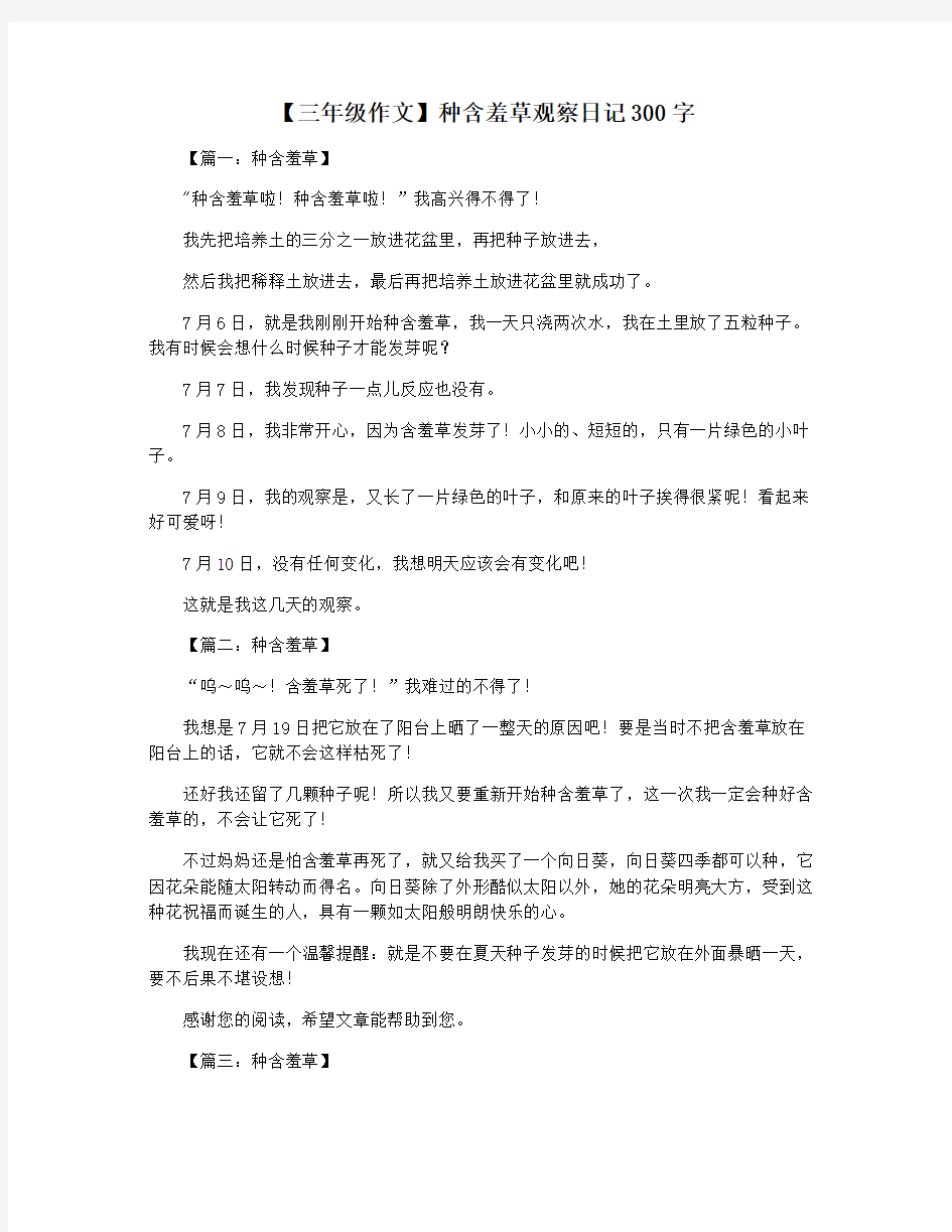 【三年级作文】种含羞草观察日记300字