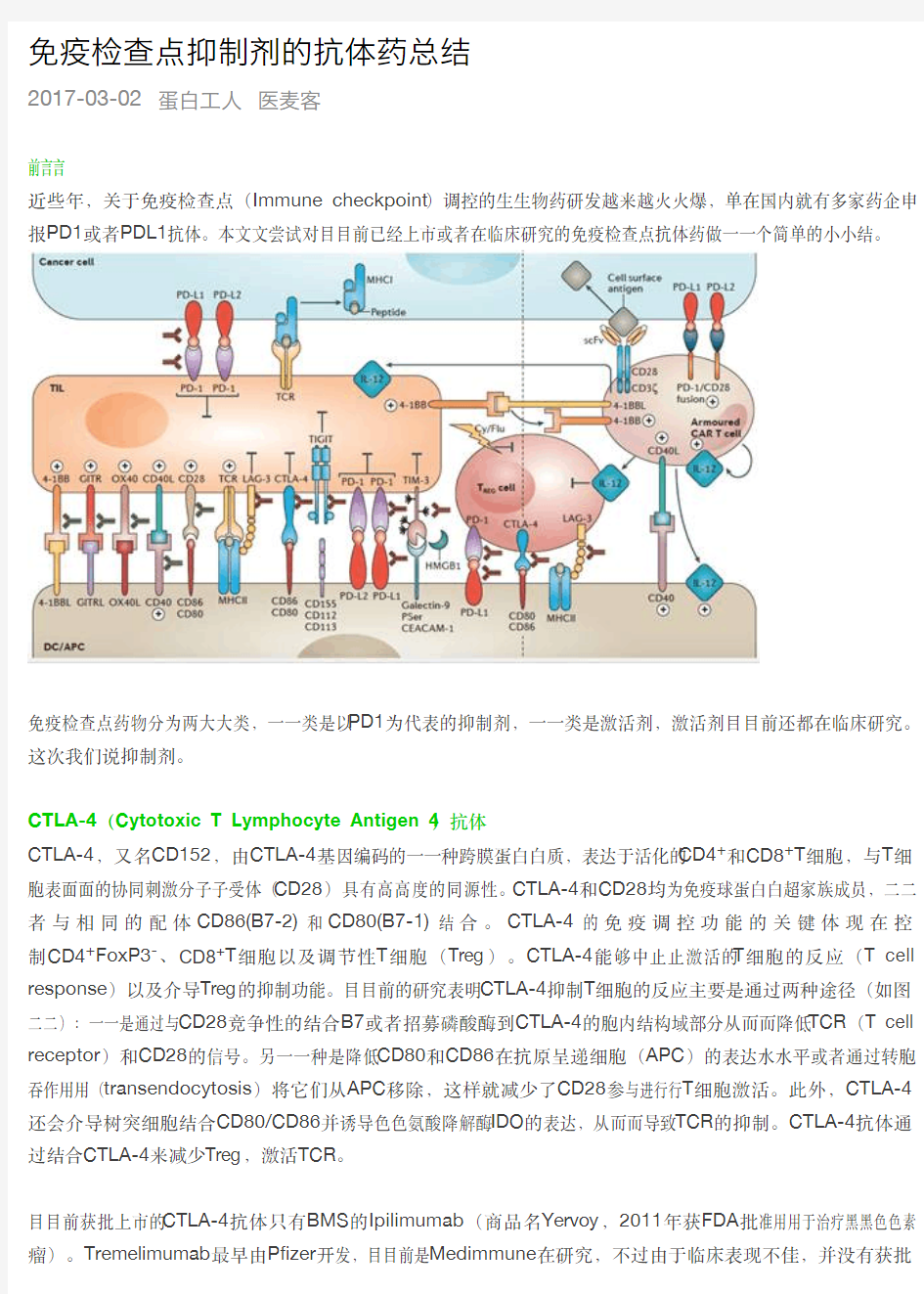 免疫检查点抑制剂的抗体药总结