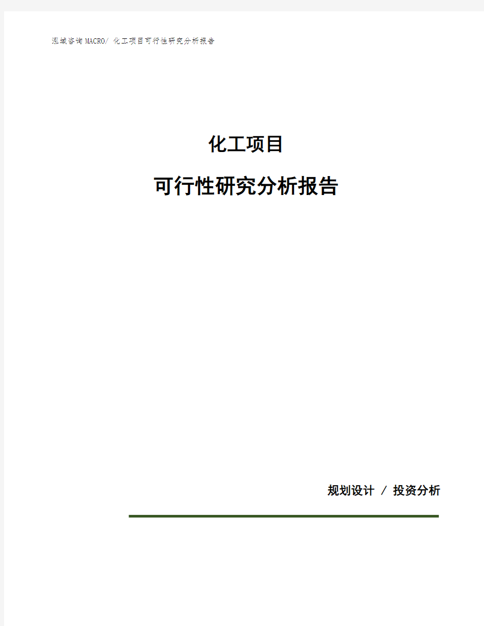 化工项目可行性研究分析报告 (1)