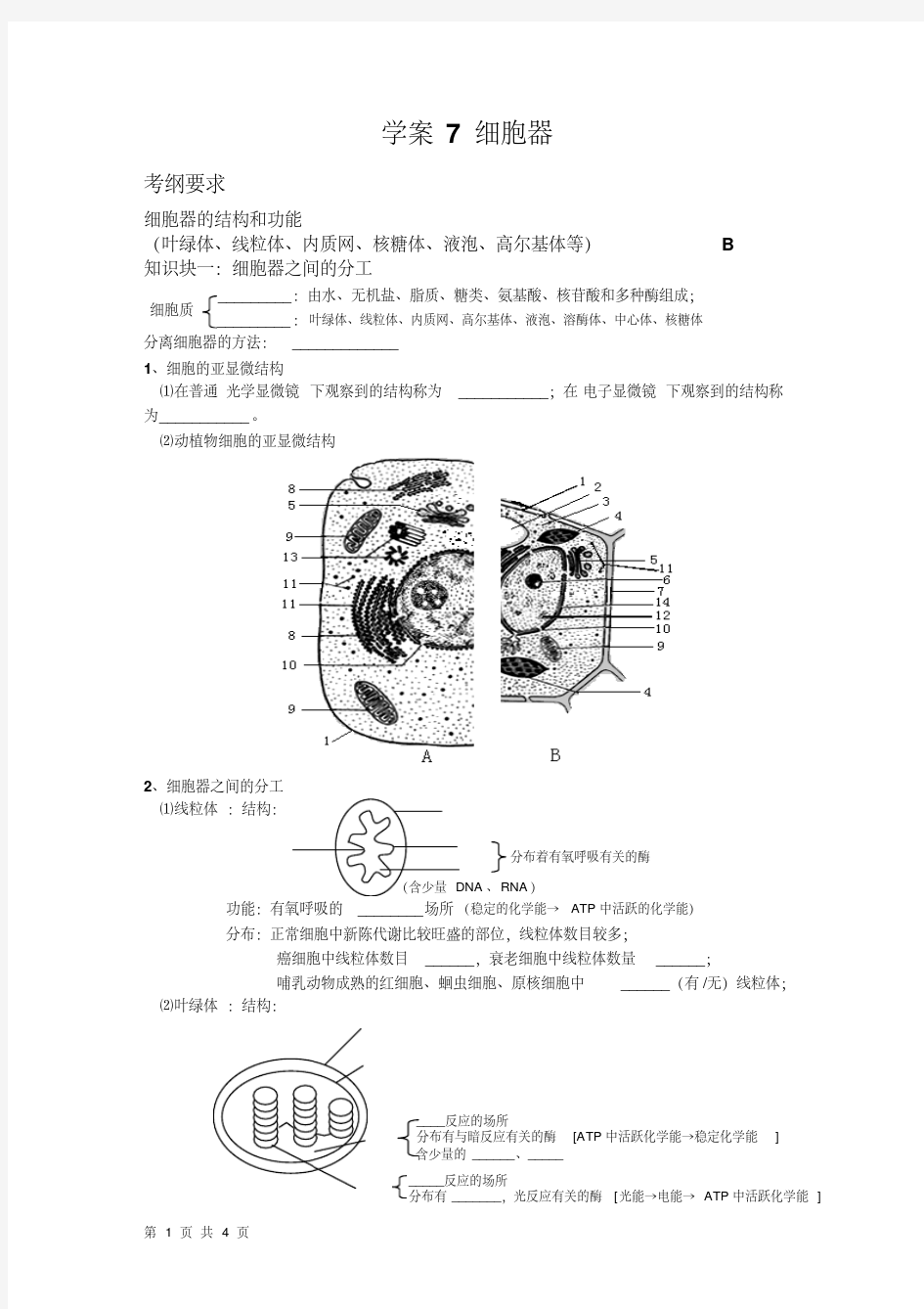 学案7细胞器