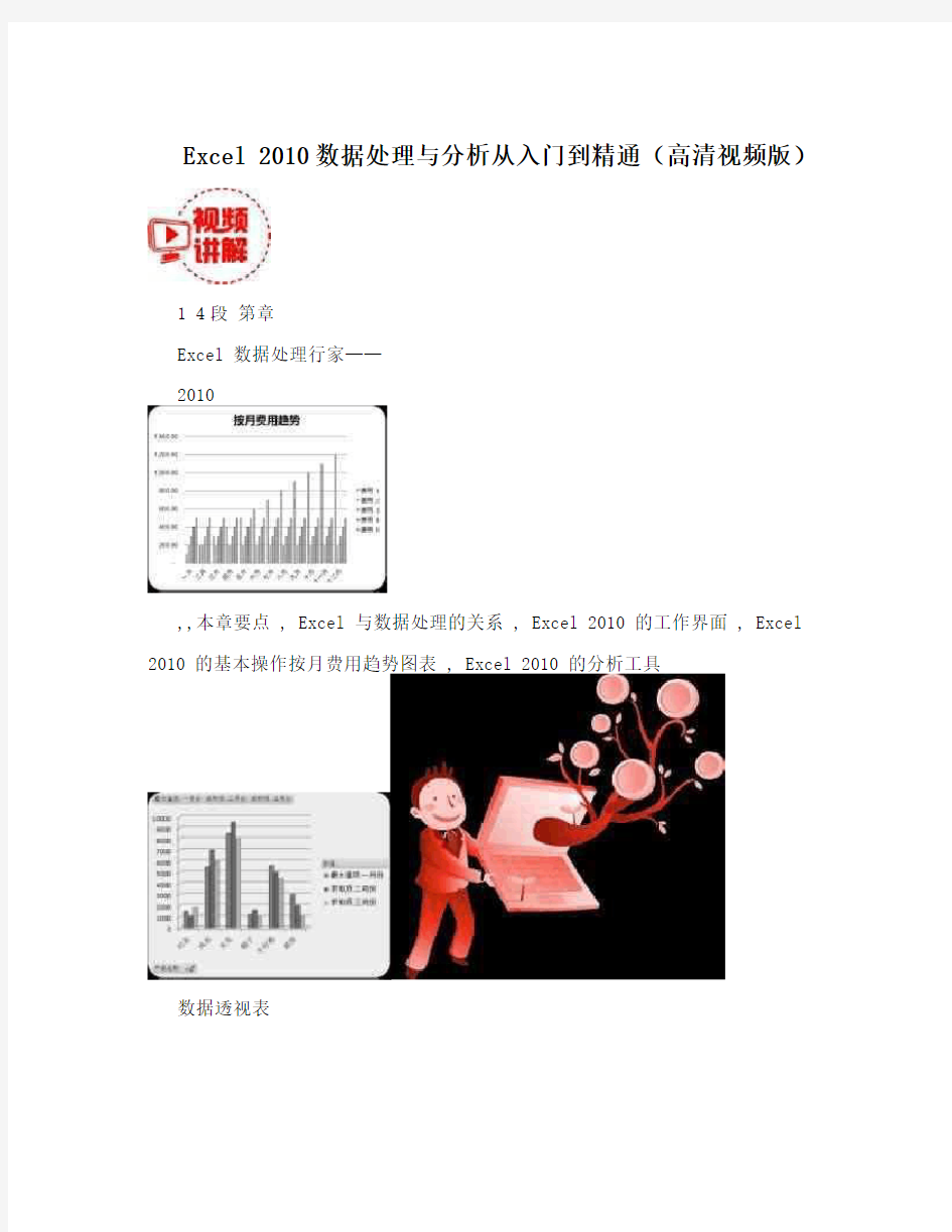 Excel 2010数据处理与分析从入门到精通(高清视频版)