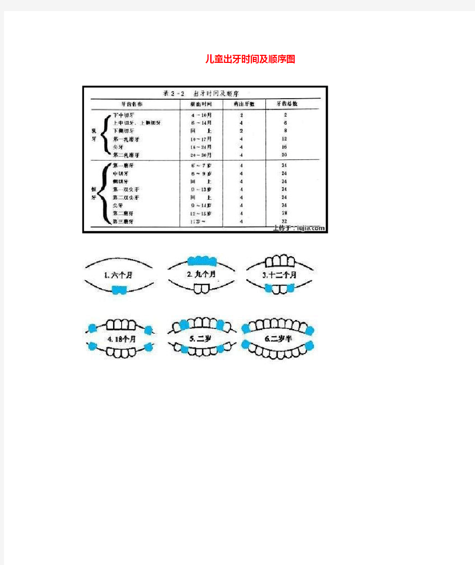 儿童出牙及换牙顺序图