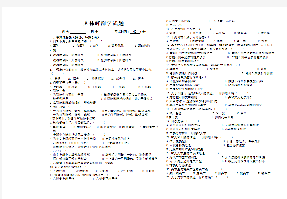 人体解剖学试题A及答案