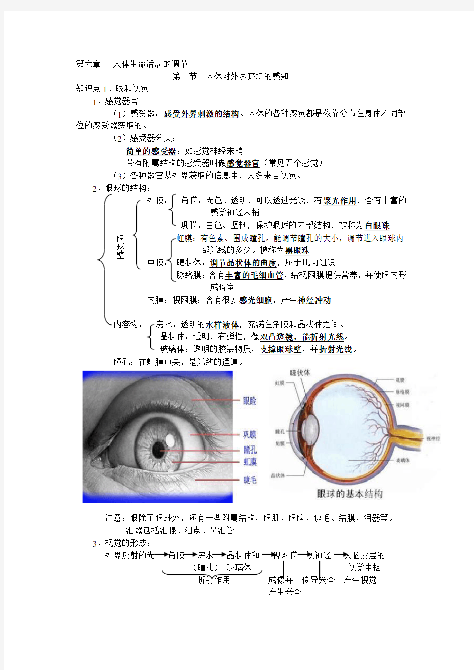 人体生命活动的调节知识点提纲