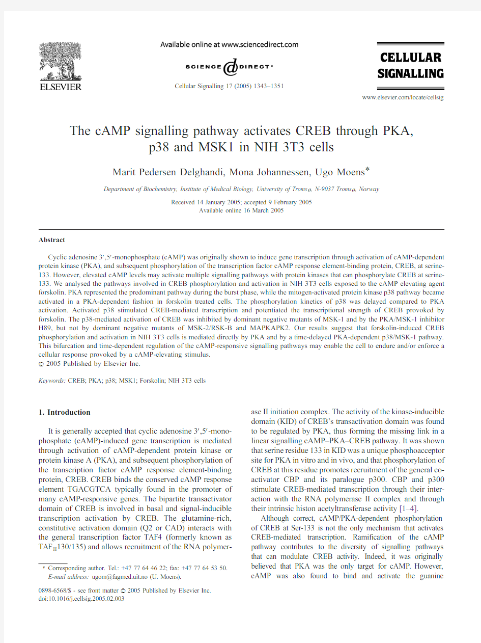 cAMP-PKA-Creb signal pathway