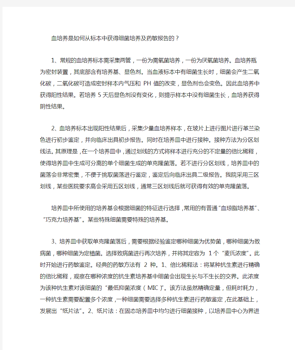 细菌培养的流程介绍