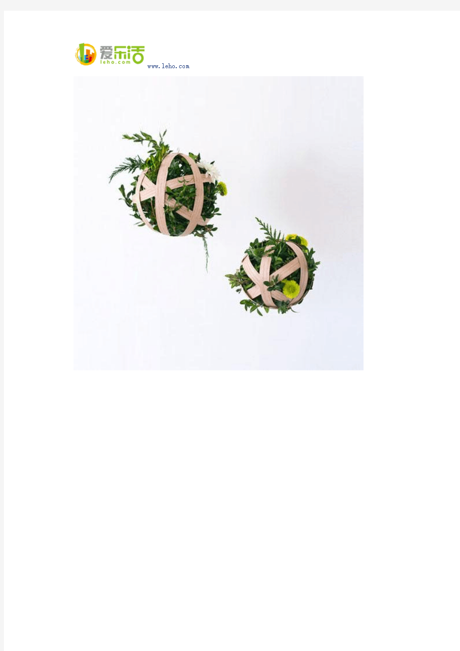 那抹清新的绿——DIY花藤植物装饰