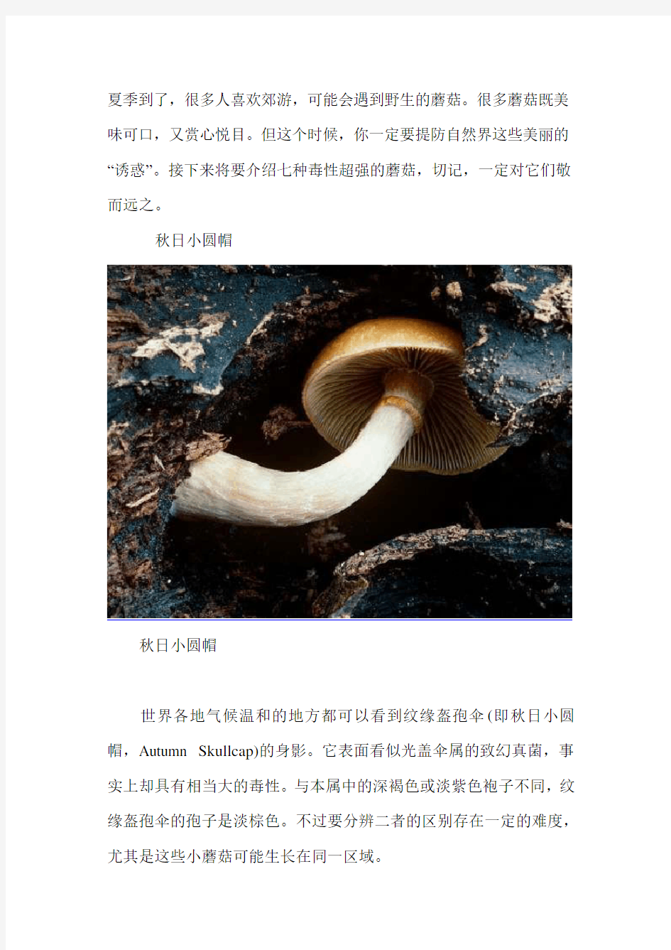 自然界七种致命毒蘑菇(图)