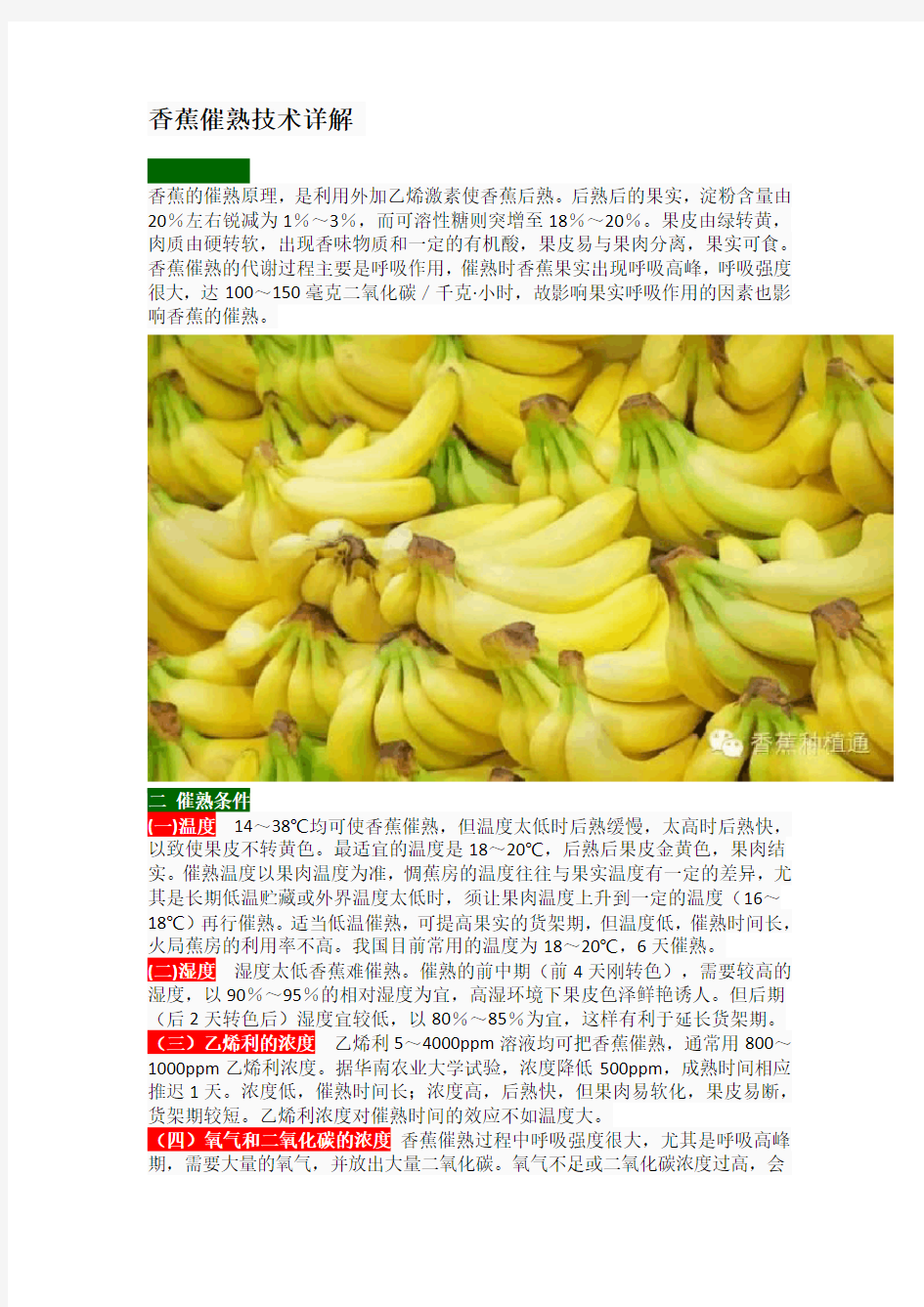 香蕉催熟技术详解