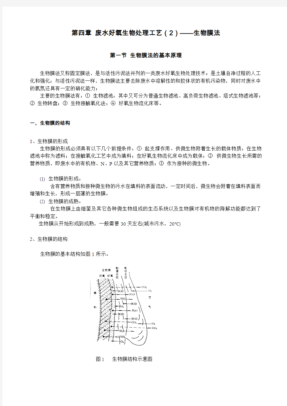 废水好氧生物处理工艺生物膜法水处理教案