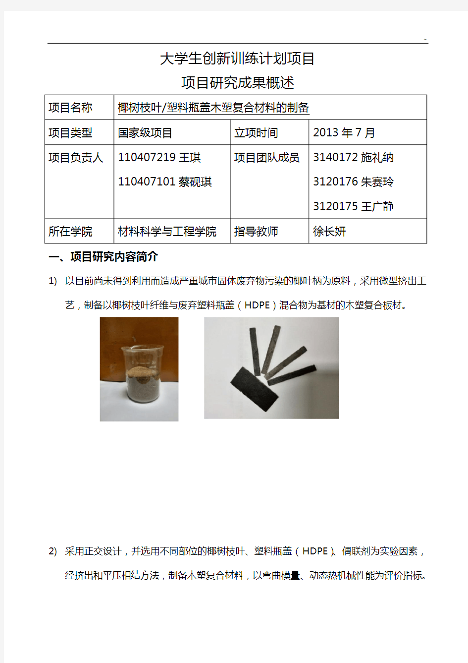 大学生创新训练计划项目开发