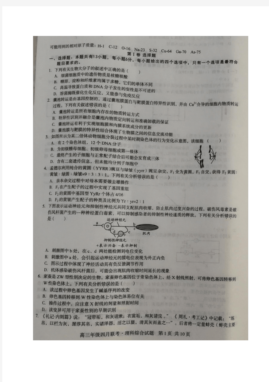 四川省成都七中2019届高三理科综合试题