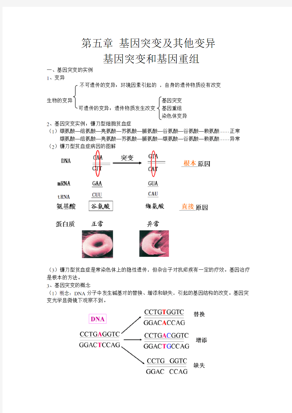 高三生物一轮复习教案基因突变和基因重组