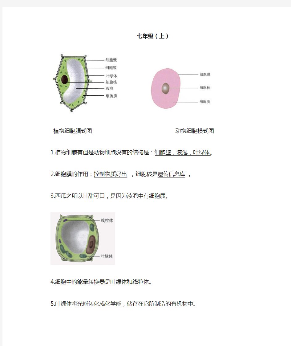 初中生物识图题全面解析(超全面)