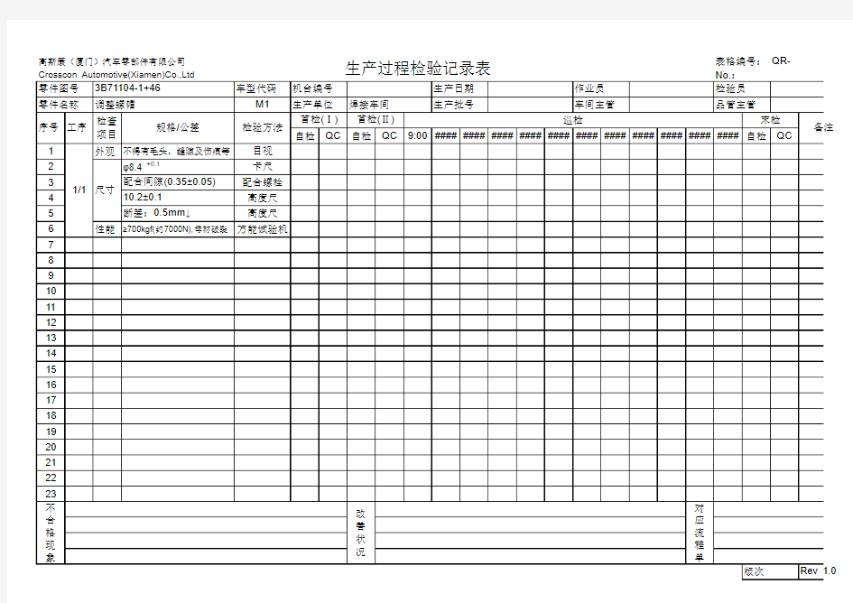 生产过程检验记录表