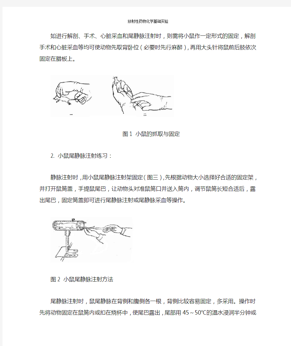 实验十三  小鼠体内生物分布实验