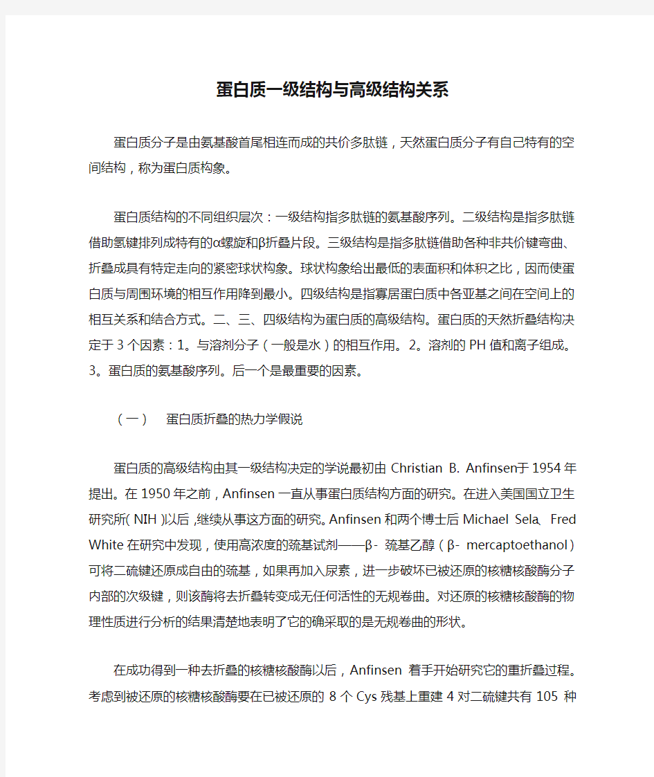 蛋白质一级结构与高级结构关系