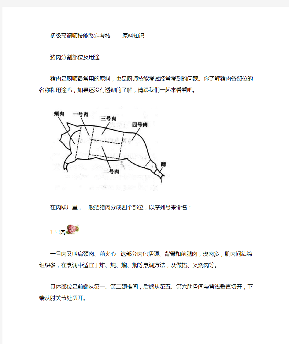 猪肉部位