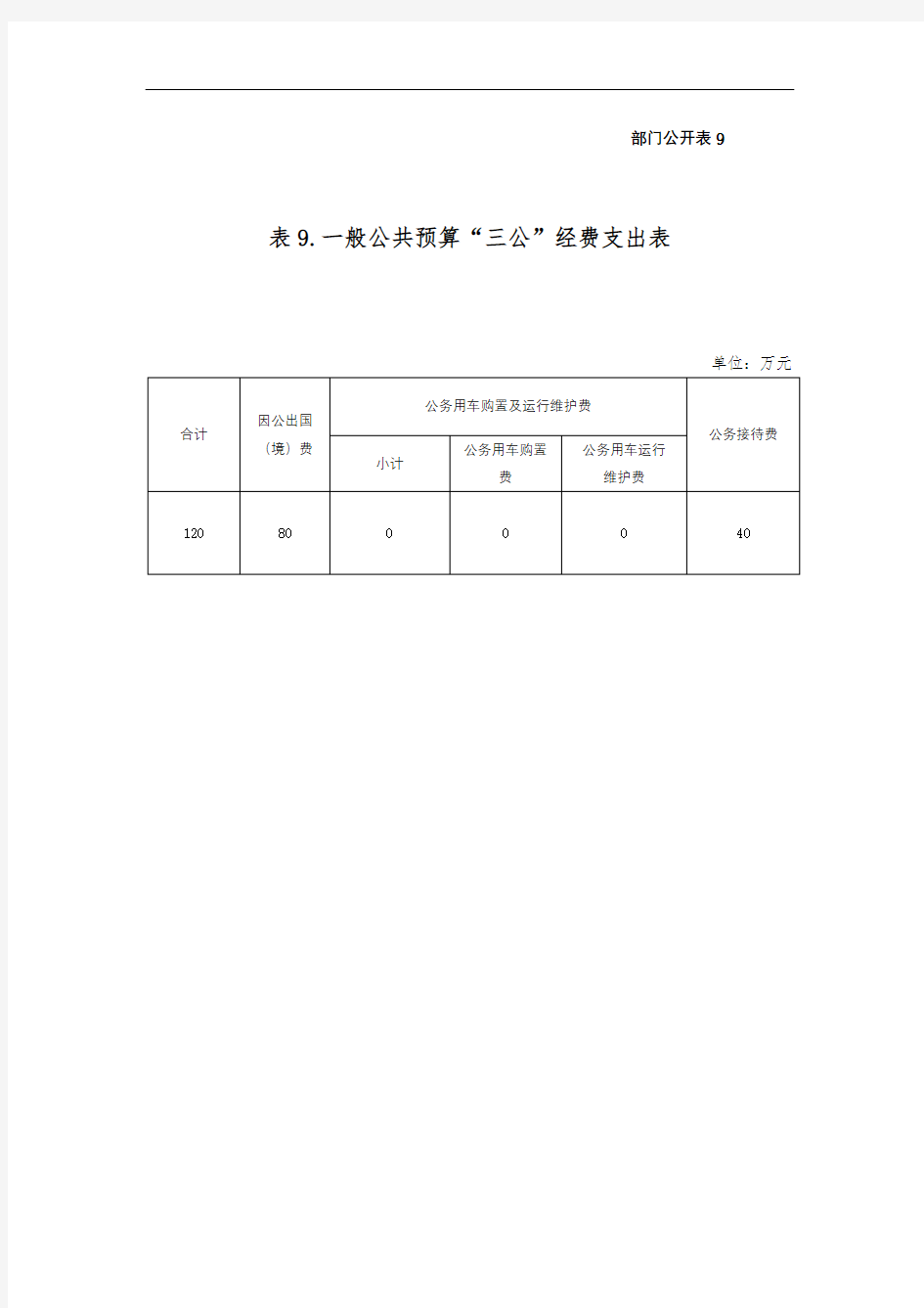 一般公共预算三公经费支出表【模板】