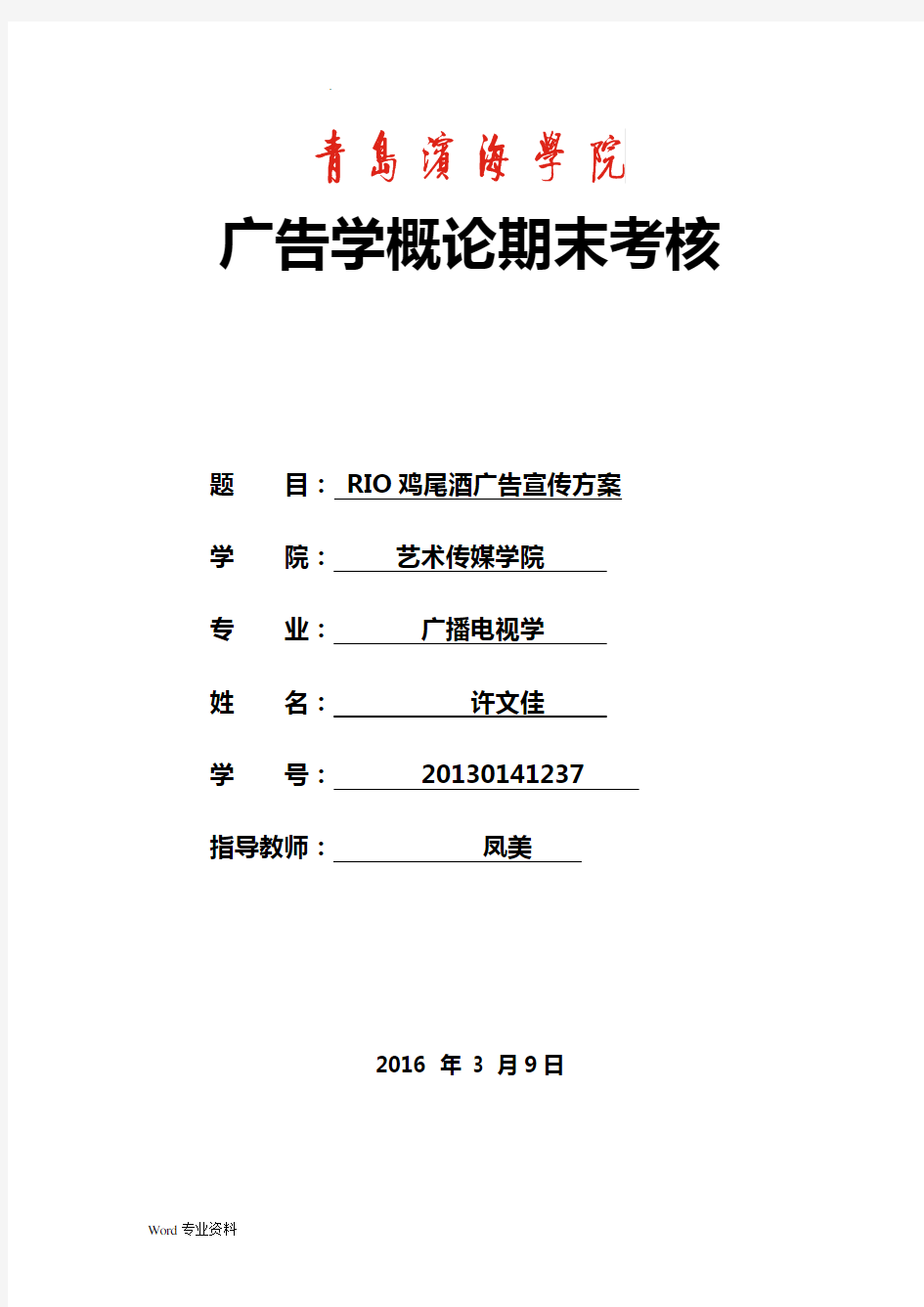 RIO鸡尾酒广告宣传方案