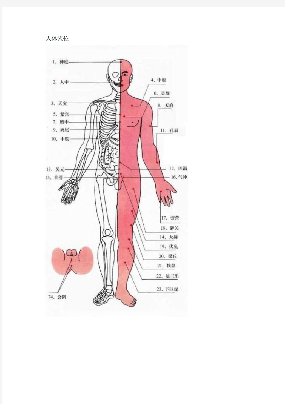 人体穴位及相关疾病特效穴歌(图解)