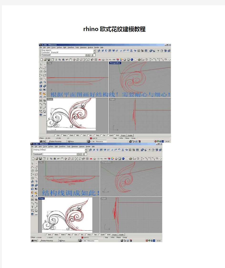 rhino欧式花纹建模教程