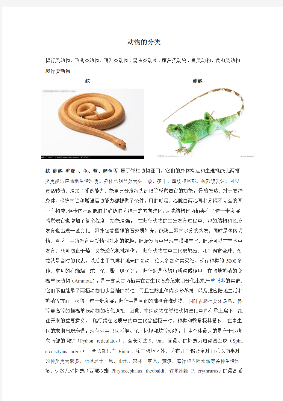 动物分类及图片