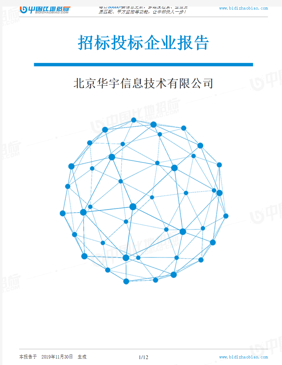 北京华宇信息技术有限公司-招投标数据分析报告