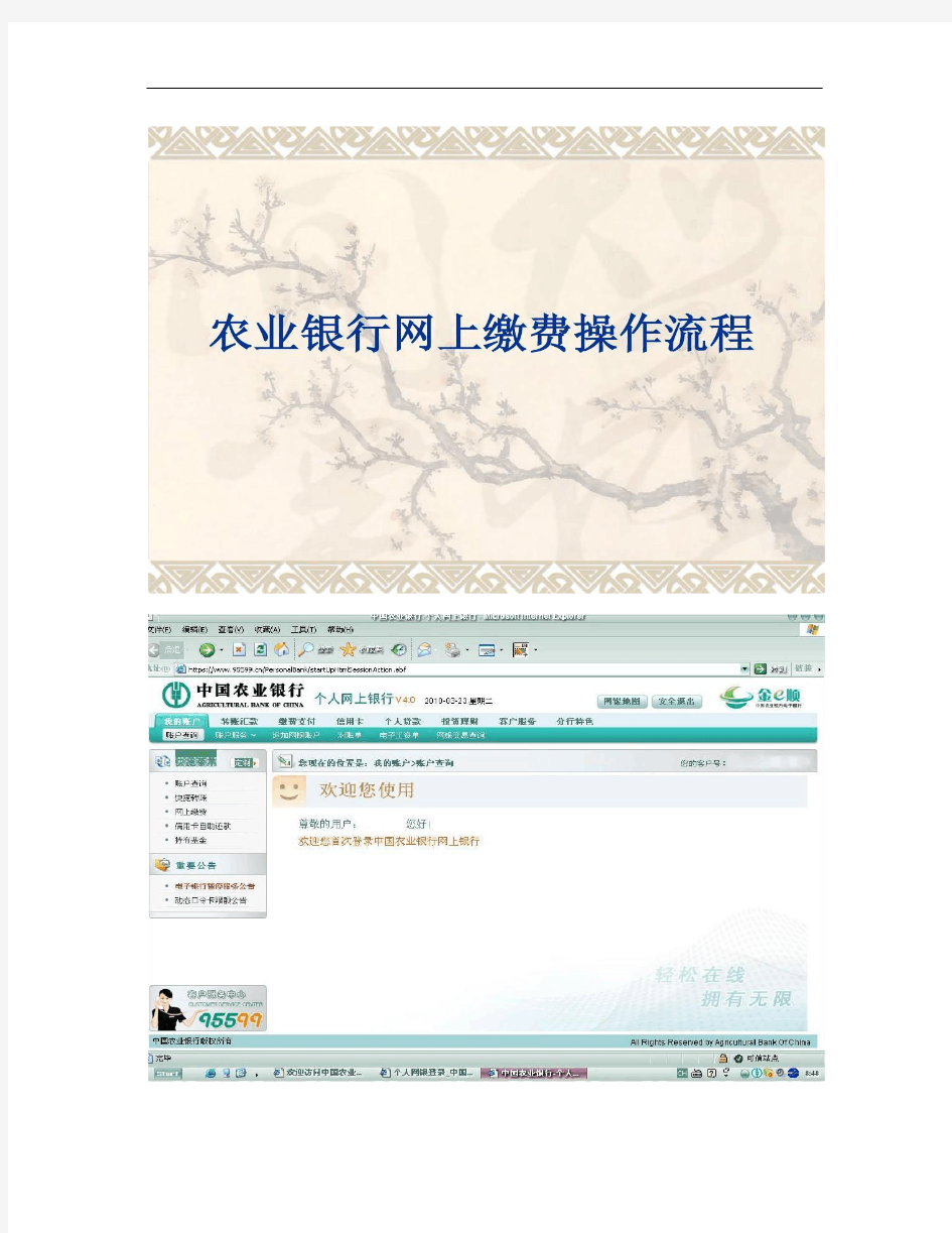 农业银行网上缴费操作流程精