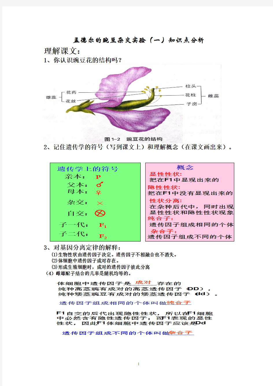 (完整版)孟德尔的豌豆杂交实验(一)知识点分析