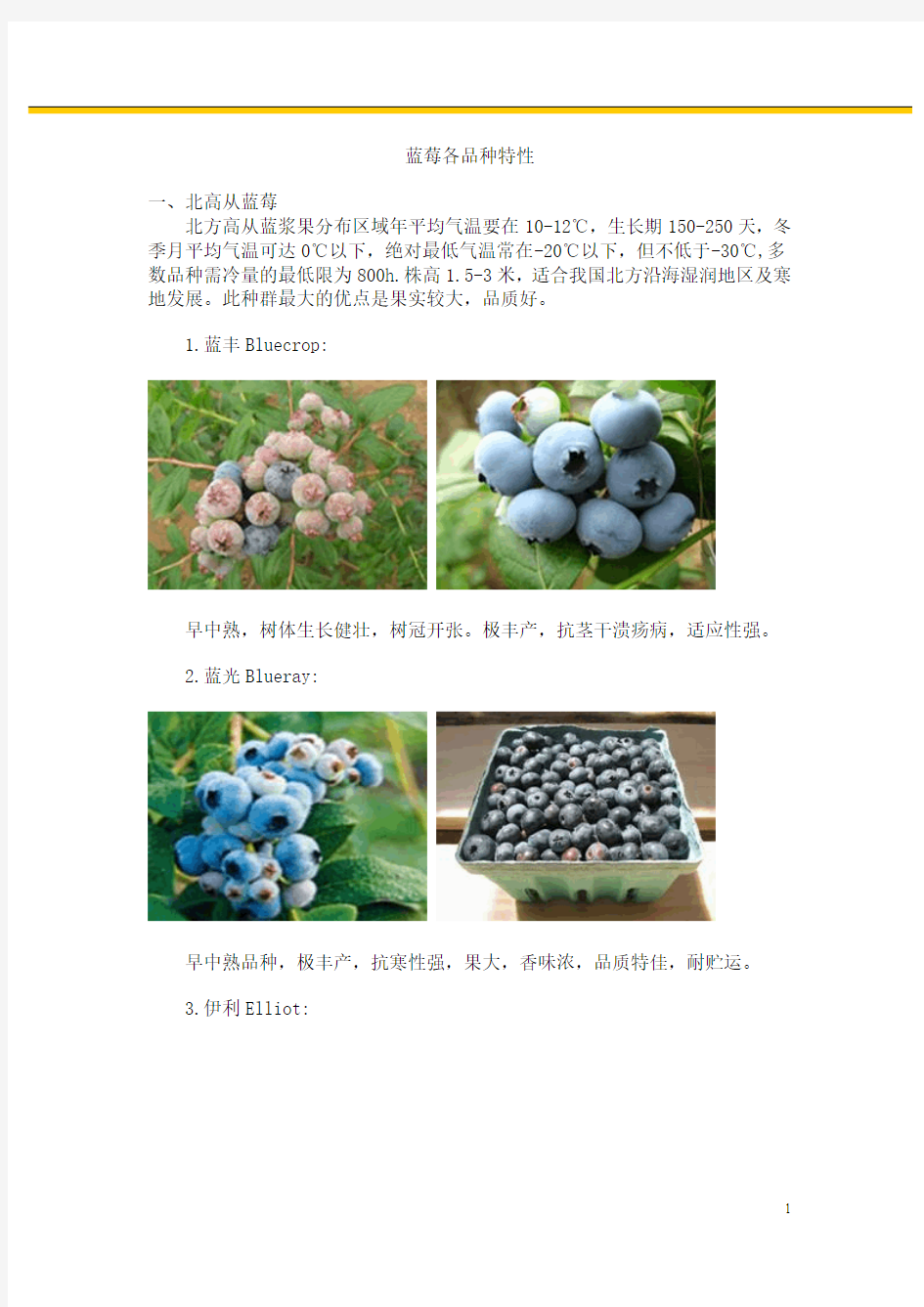 蓝莓各品种特性