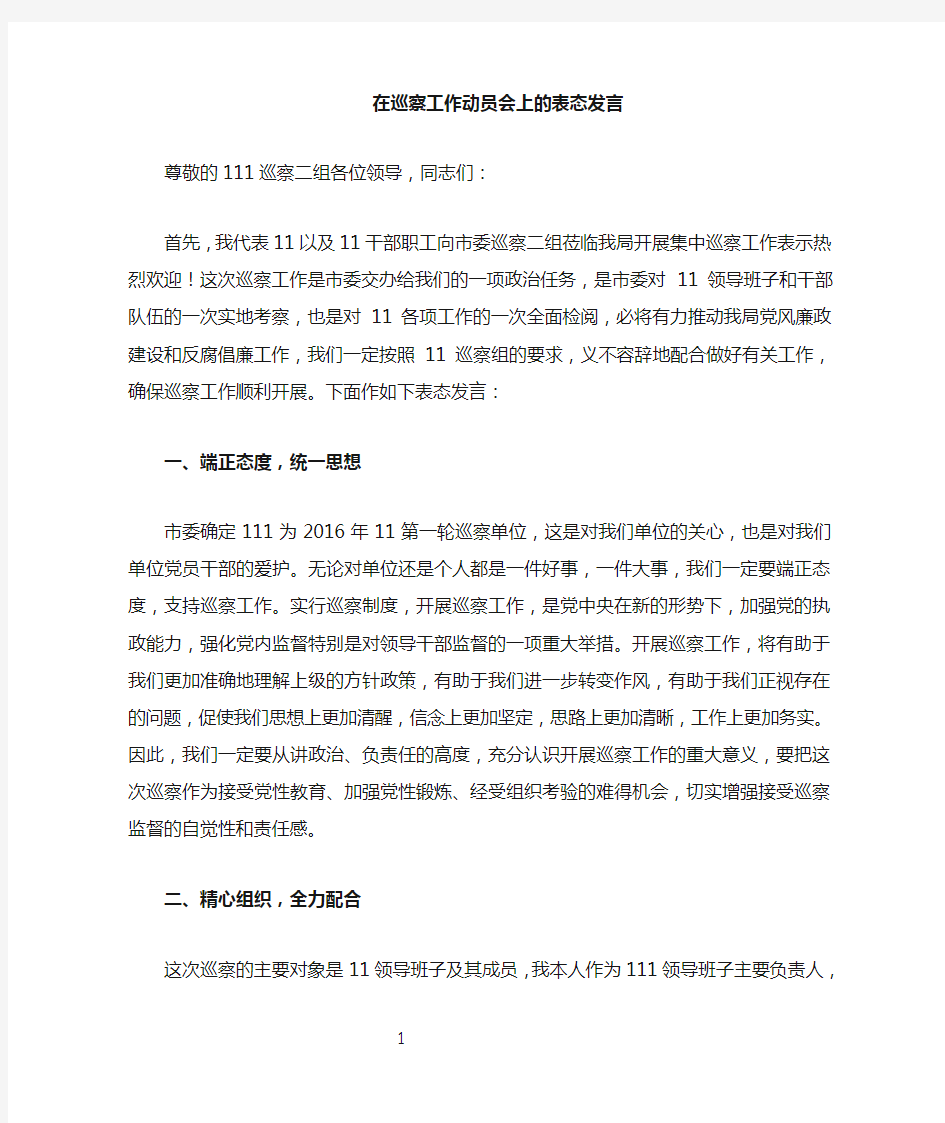 在巡察巡视工作动员会上的表态发言