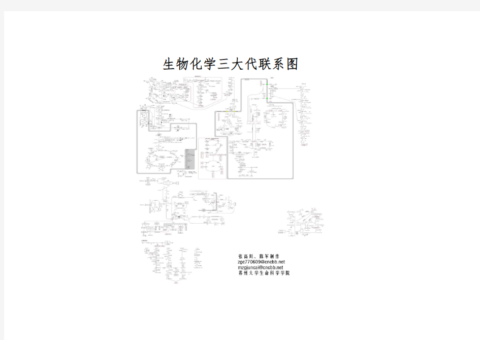 生物化学中三大物质代谢联系图