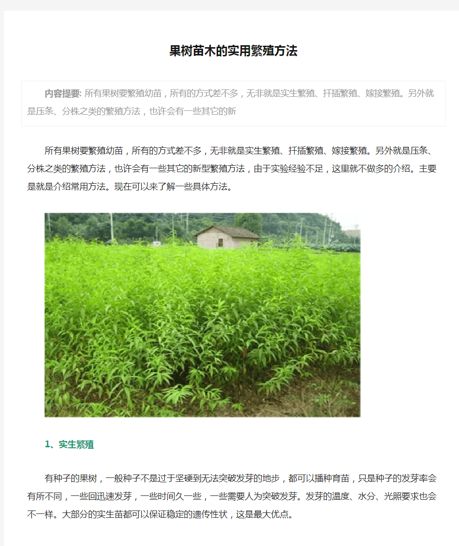 果树苗木的实用繁殖方法