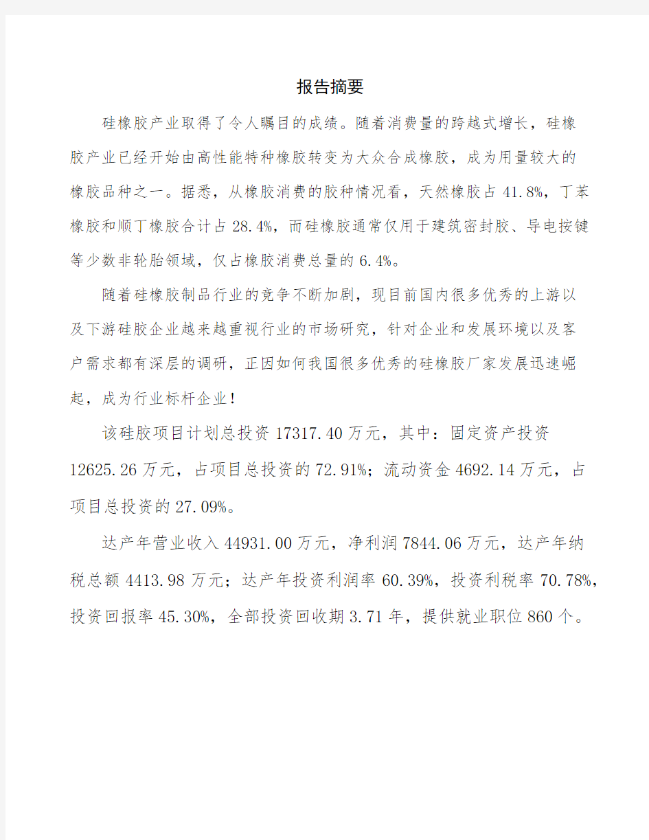 广州新建硅胶项目商业计划书