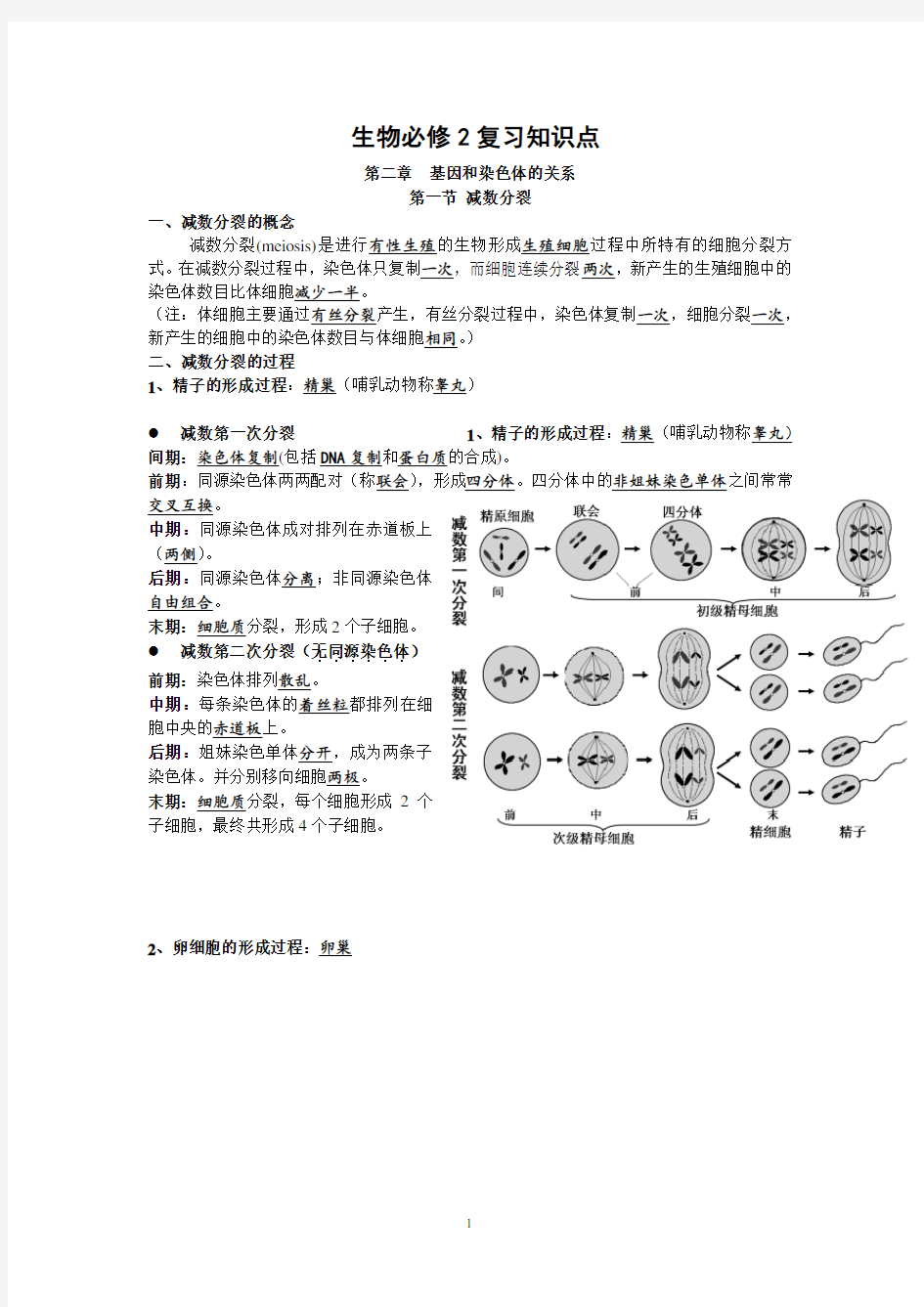 高中生物必修二知识点总结(精华版)