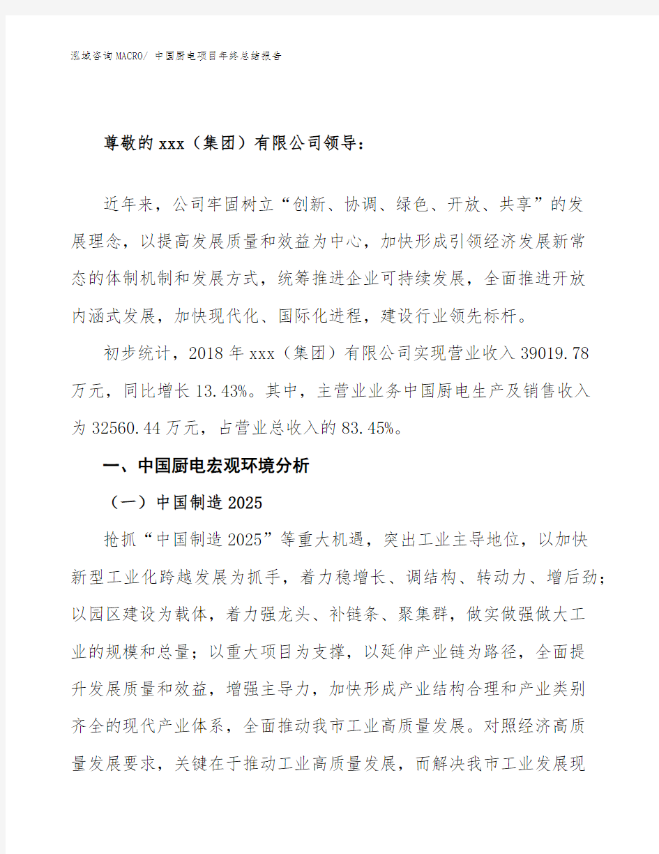 中国厨电项目年终总结报告