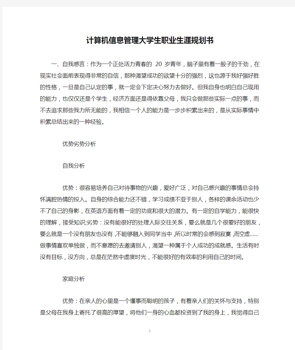 计算机信息管理大学生职业生涯规划书